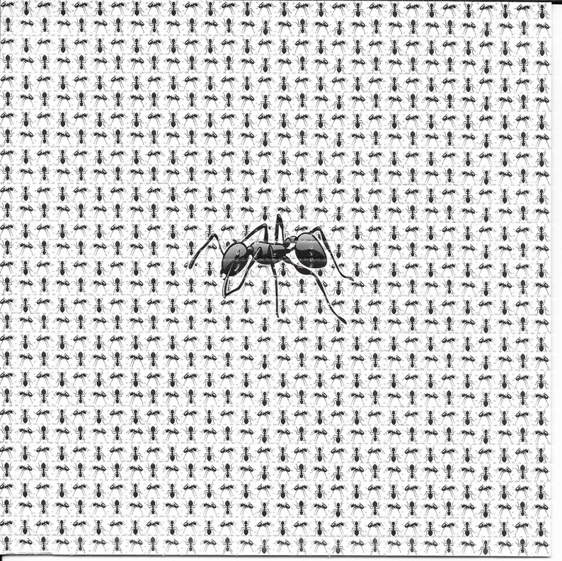 Ink Blotter Paper - มดสัตว์ Psychedelic LSD กรดฟรี Blotter Art
